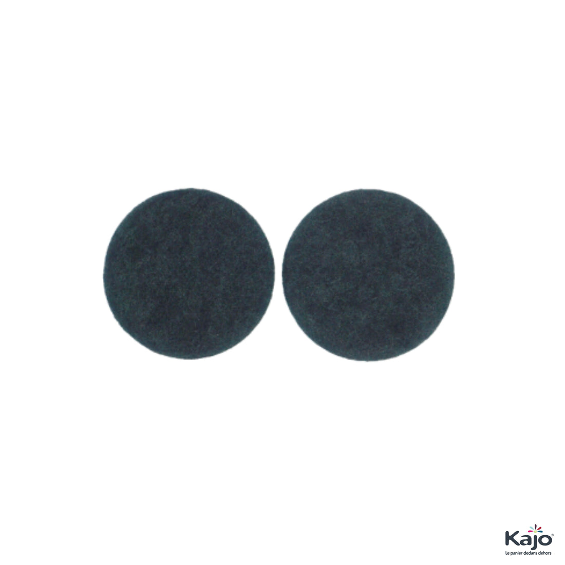 Lot de 2 filtres à charbon pour seau 5L