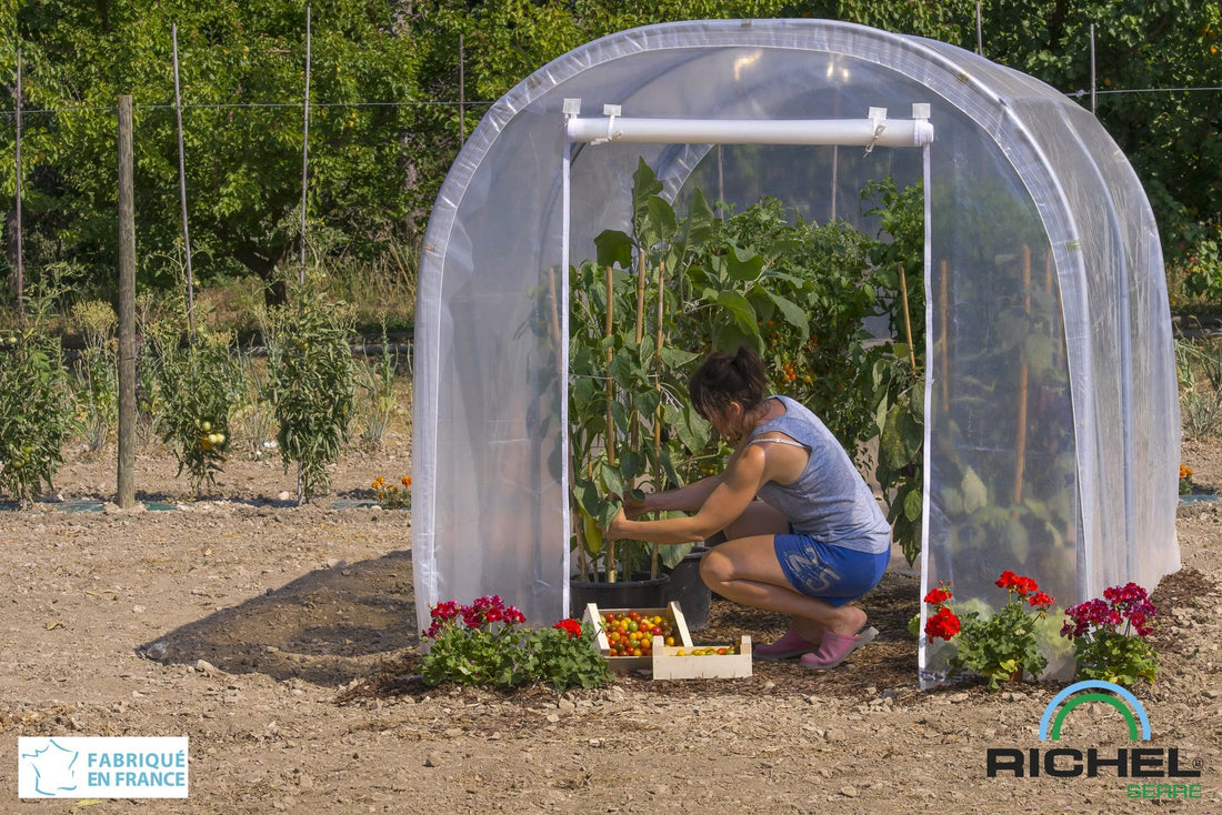 Serre de jardin 6 m²