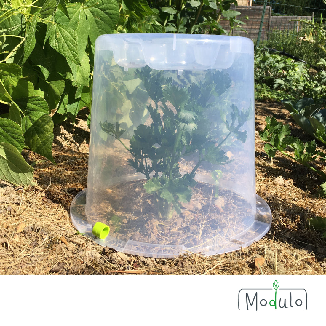 Lot de 3 cloches Modul'o 35