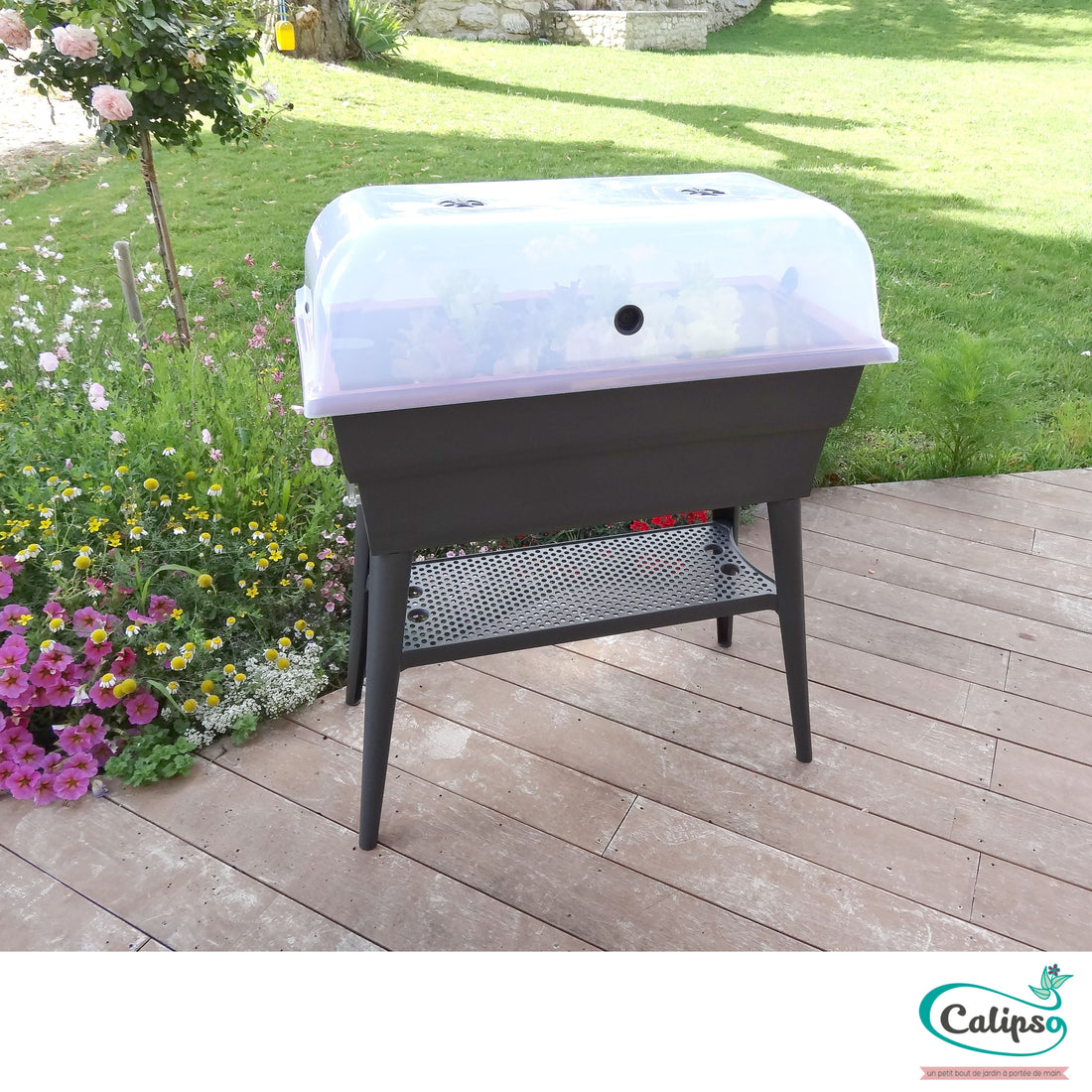 Cloche pour jardinière Calipso