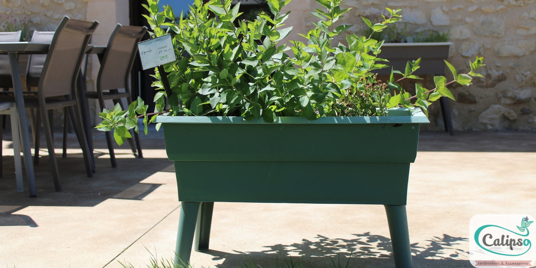 Jardinière Calipso Mini Junior
