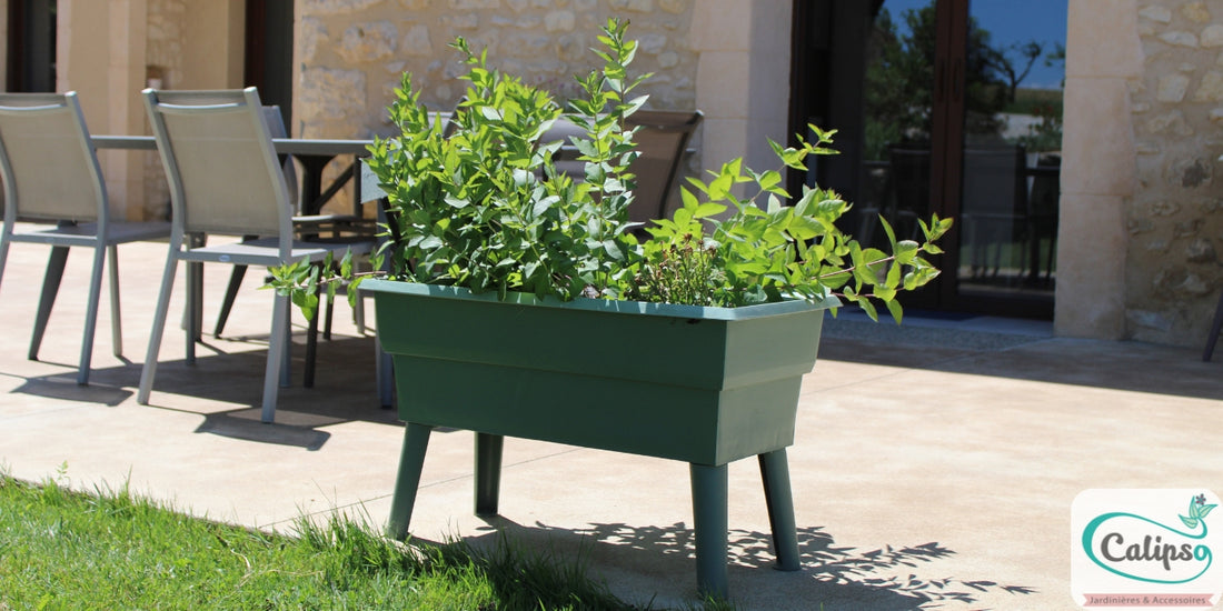 Jardinière Calipso Mini Junior