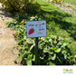 Etiquettes pour plantes