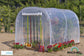 Serre de jardin 6 m²