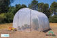 Serre de jardin 9 m²