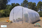Serre de jardin 18 m²