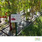 Etiquettes pour plantes