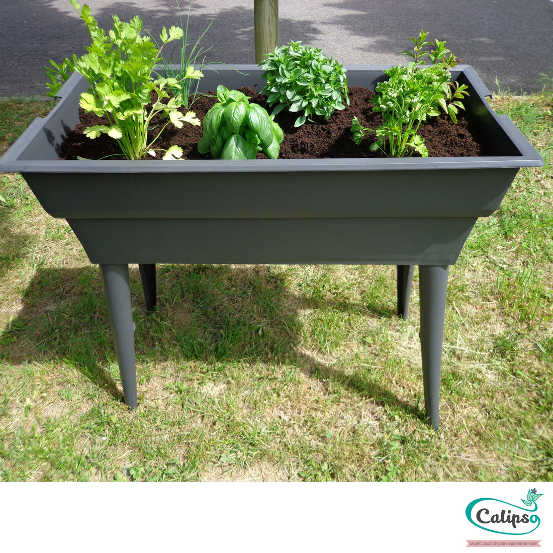 Jardinière Calipso Maxi Basic