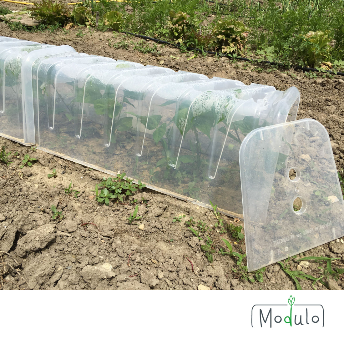 Embouts de tunnels Modulo 30