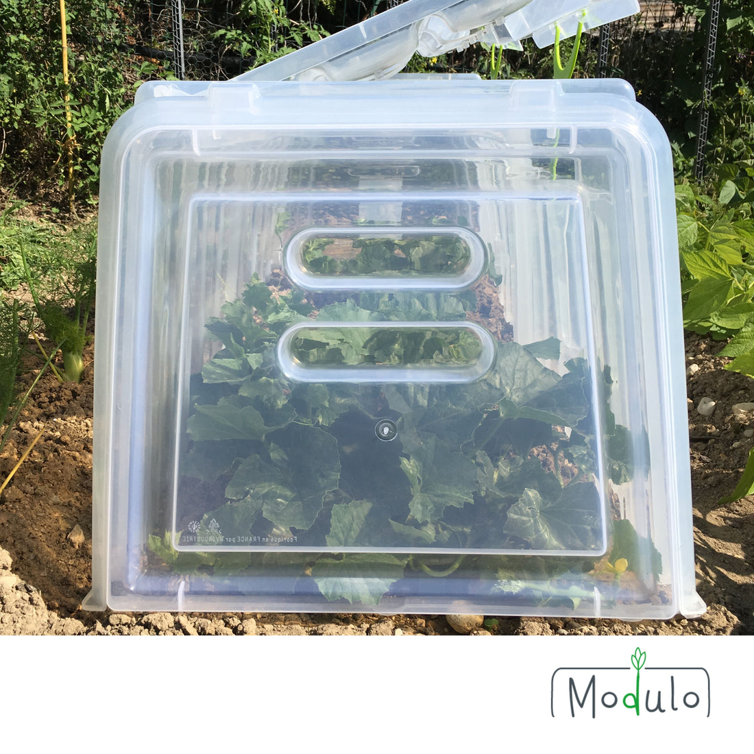 Embouts pour tunnels Modulo 60