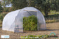 Serre de jardin 9 m²