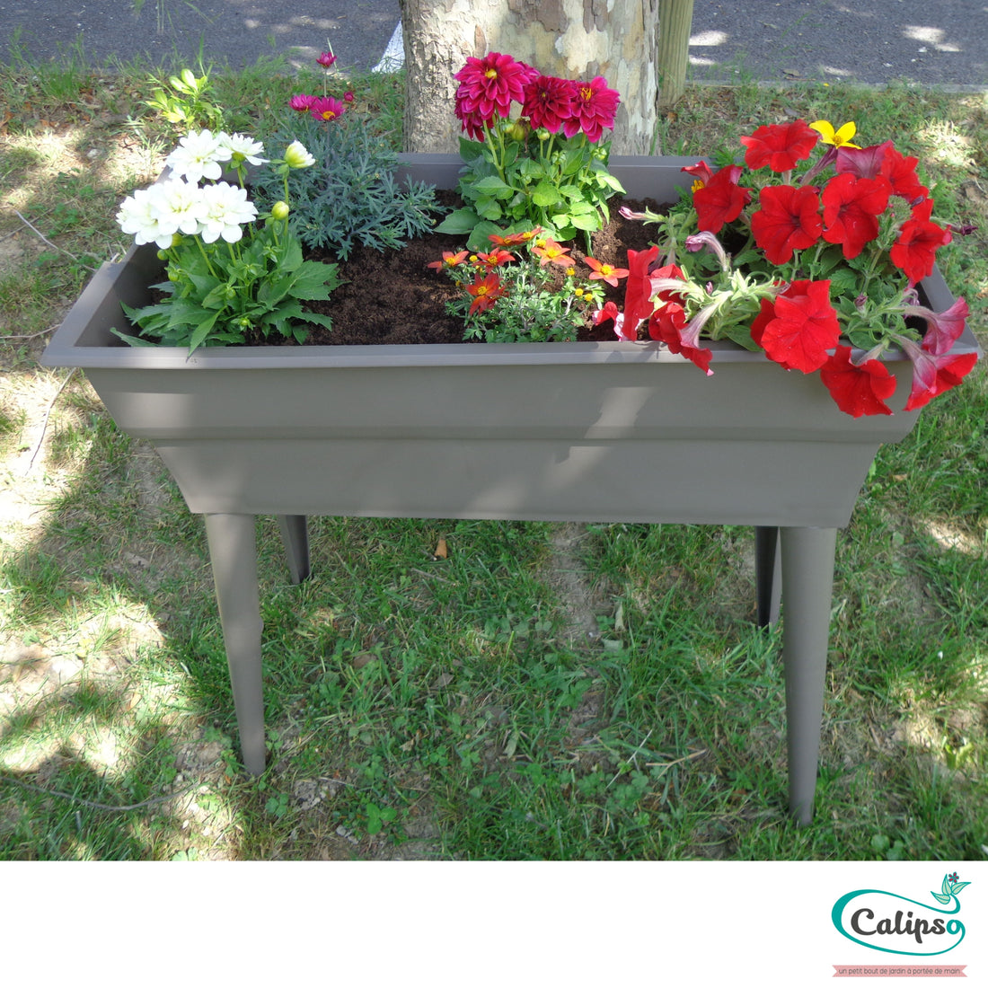 Jardinière Calipso Maxi Basic