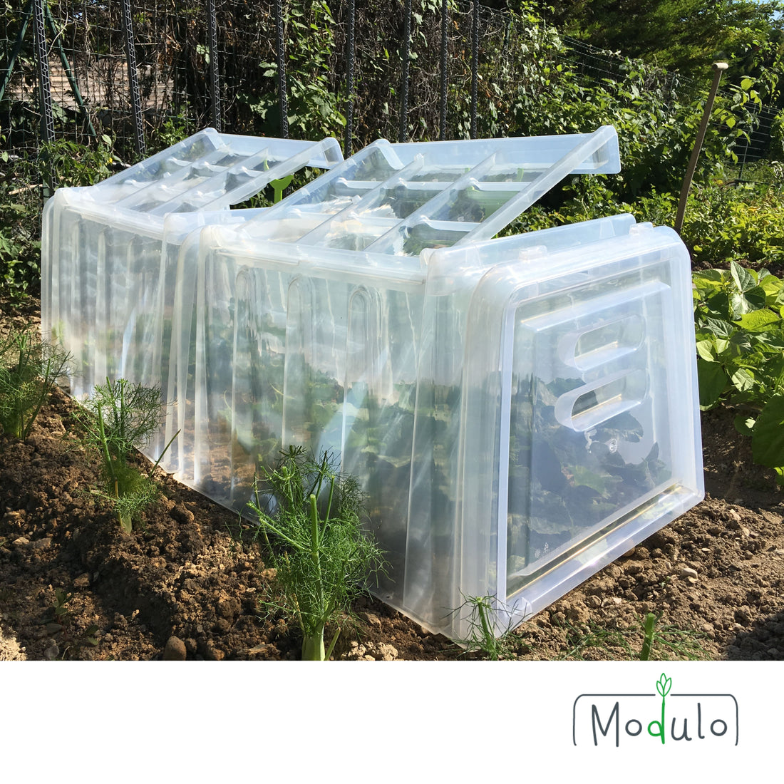 Lot de 3 tunnels Modul'o 60 + 2 embouts + 10 piquets